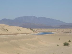 Near the Arizona / California border. less than 50 miles south of here the Colorada river stops in the desert!  All its water taken from it before it reaches the sea! This is one of the canals taking water to California. Anthropocentricism..... and exploiting Nature to the limit...for all of 'Us'