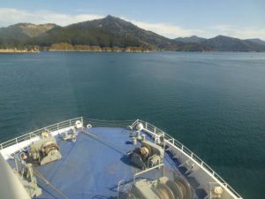 Another ship: Cook Strait Ferry going into Marlborough Sound!